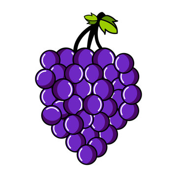 Isolated grapes icon