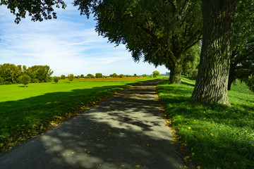 Rheinwiesen