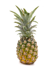 Pineapple fruit on a white background