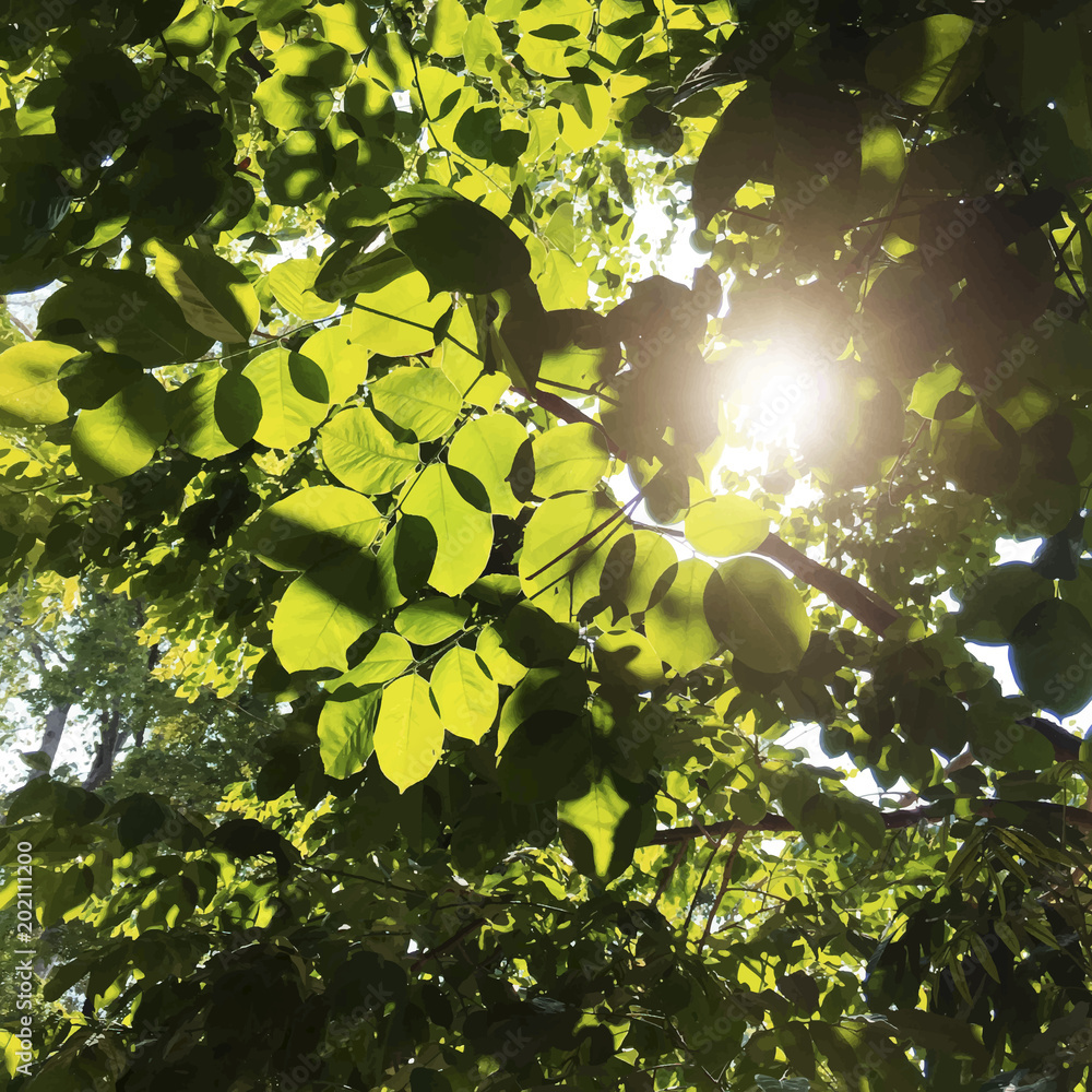 Canvas Prints Closeup of green leaves and sunlight