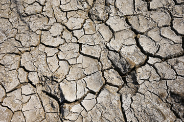 Climate warming dry chapped land