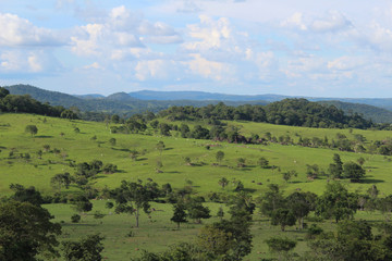 Fototapeta na wymiar green fields with trees, blue sky and rocks