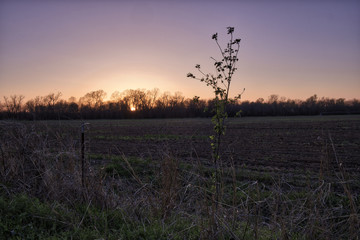 Obraz premium Last Light