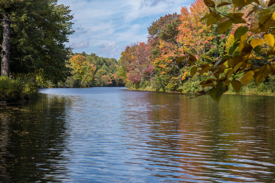 Autumn Colors On Muskoka River