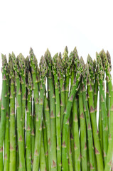 Bunch of asparagus isolated on white backgound