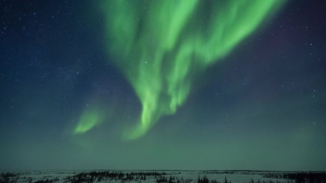 Northern Lights Over Boreal Forest Time-Lapse