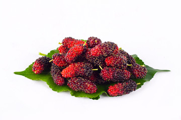 mulberry berry with leaf on white background healthy mulberry fruit food isolated
