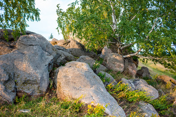 Sacred stones in the area of the village of Krasnogorye. The nature monument Witches stones. The valley of the Krasivaya Mecha River. Tula region, Russia