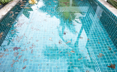 Dirt floating on clear swimming pool water surface, pool cleaning