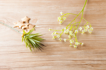 グリーンのインテリア