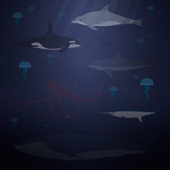 Animals of the Ocean: Whale, Swordfish, Shark, Octopus, Killer Whale, Dolphin. Isolated on white background. Design vector illustration.