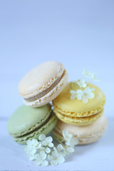 Macaron cake set.  Macarons in pastel colors and hydrangeas flowers on a gentle blue background.