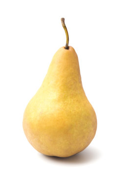 Bosc Pears Isolated on a White Background
