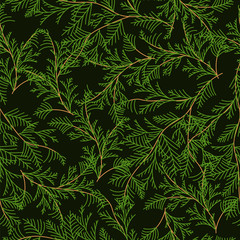 thuja. seamless pattern