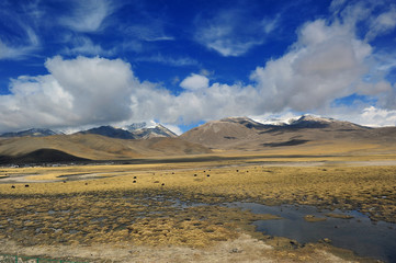 The plateau snow mountain