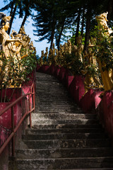 Steps up the Ten Thousand Buddhas Monastery, Hong Kong Asia