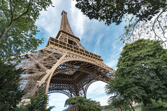 Curves of the Eiffel Tower among spring tree branches forming a natural picture frame, cinematic color grading with copyspace
