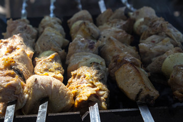 kebab on the grill in the open air