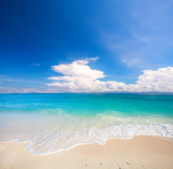 beach and tropical sea