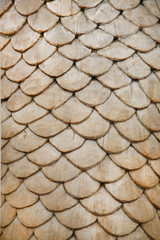 fish scales © Сергей Касьянов