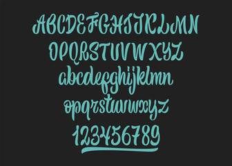 Calligraphic vector script font. Handwritten brush style modern calligraphy cursive typeface.