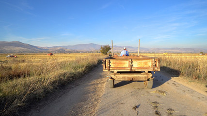 Fototapeta premium Tractor drive on the rural road with trailer
