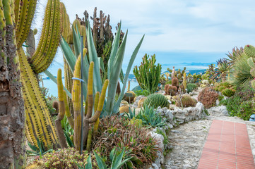 botanical garden in Eze Nizza Nice France