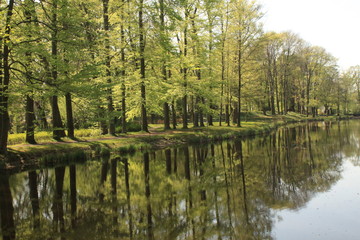 Fototapeta na wymiar Frühling im Park (Schloßpark Jüterbog)
