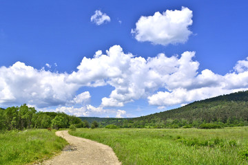 Fototapeta na wymiar Country road in a grassy meadow and hills on a blue sky with clouds background 