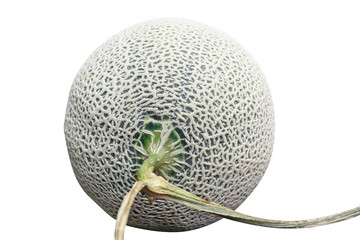 Rock Melon Isolated,green melon nets on white background