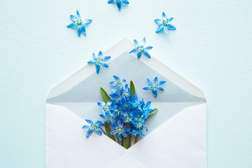 Opened white envelope with fresh, beautiful blue snowdrops ( scilla ) on light pastel background....