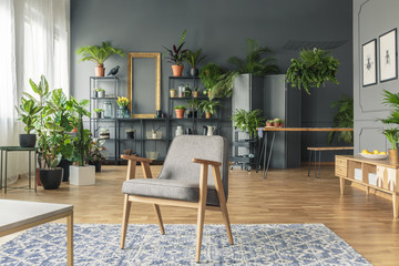 Vintage, gray armchair in the center of a tropical living room interior with lots of plants on the wooden floor and black rack