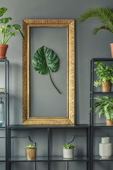 Close-up of an elegant, golden frame with a green monstera leaf standing on a black, metal rack against black wall