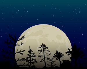 Full moon in the night sky. Dark forest. The glow from the stars. Vector illustration.