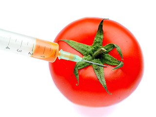 Injection of medical syringe with orange liquid stuck in a red ripe fresh tomato. Isolated. White...