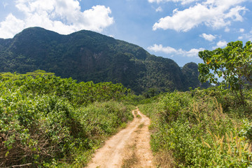 Krabi, Thailand - April 16, 2018: Typical karst rocks of the Krabi area