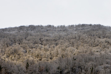 Fototapeta na wymiar Frosty Forest On Mountain Slope