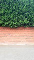 Three lines texturing background