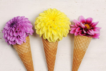 ice cream cones with beautiful dahlies