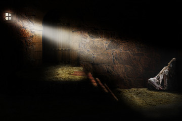Medieval dungeon with a prisoner
