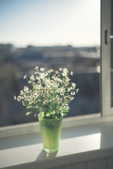 A charming bouquet of small daisies in a green vase on the windowsill by the open window on the terrace. Selective focus.