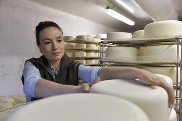 Cheese maker checking production in cheese cellar