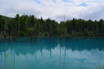 【北海道】美瑛_青い池‗横