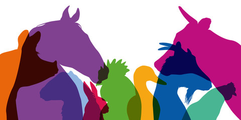 animal de la ferme - ferme - tête - silhouette - animal - profil - agricole - cochon - coq - poule © pict rider