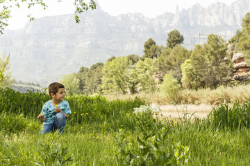 Little kid picking flowers in front of a great mountain.