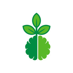 Eco Brain Logo Icon Design