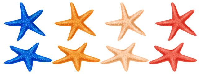 Fototapeta na wymiar Set of colored starfish on a white background