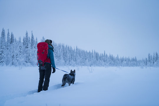 Person with dog at winter