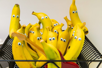 funny pack of bananas with eyes watching a guitar performance
