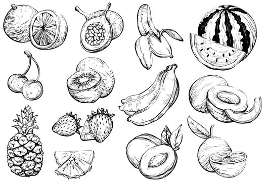 Hand drawn Healthy exotic summer fruit, sketch